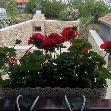 Casa Freixedelo Farm stay Santa Comba de Rossas