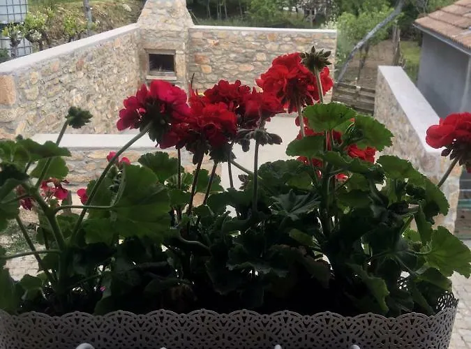 Casa Freixedelo Farma Santa Comba de Rossas